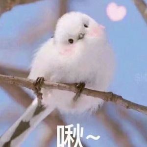 乱伦一区二区三区四区
